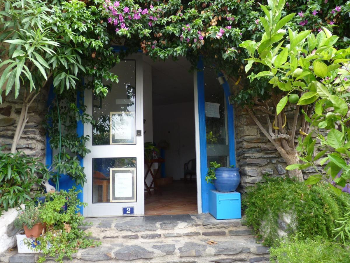 La Grande Bleue Apartamento Banyuls-sur-Mer Exterior foto
